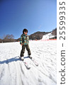 Skiing 25599335
