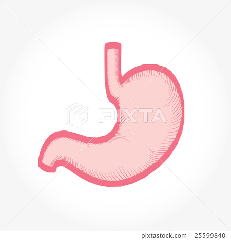 Stomach hand drawn sketch icon. Stomach hand drawn sketch icon. 25599840
