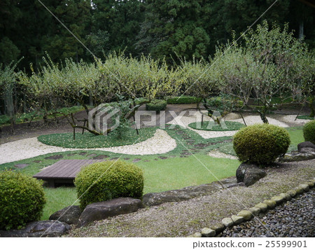 Yokokawa En（橫川服務區） 25599901