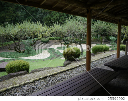 Yokokawa En（橫川服務區） 25599902