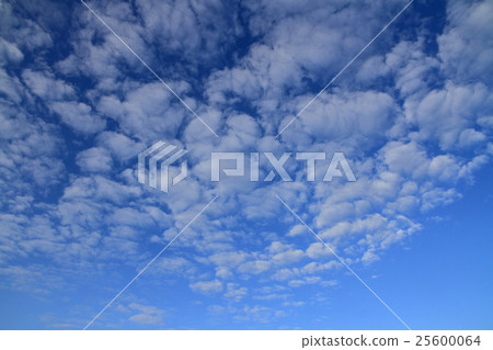 Sheep clouds 25600064