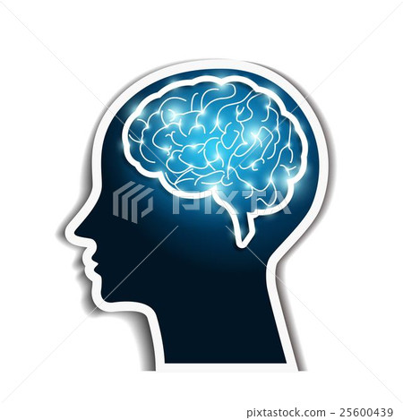 Human brain 25600439