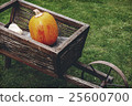 Old wooden cart with pumpkins 25600700