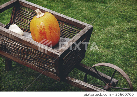 Old wooden cart with pumpkins 25600700