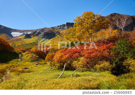 從Daisetsu Takahara溫泉Mogurigori路線看的秋季葉子和殘餘的雪 25600893
