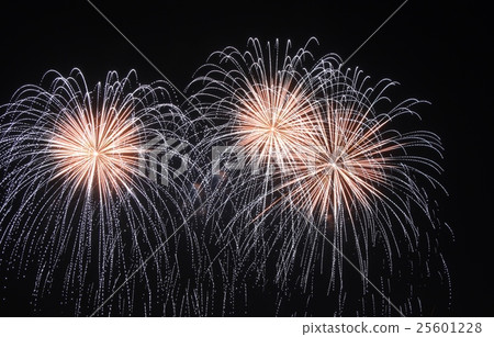 成田煙花匯演星礦 成田煙花匯演星礦 25601228