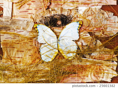 Abstract composition of butterflies and straw. 25601382