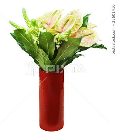 Bouquet from anturiums in red vase isolated on white background. Bouquet from anturiums in red vase isolated on white background. 25601410