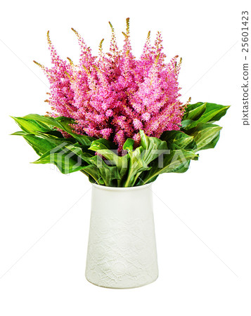 Colorful bouquet from astilbe and funkia flowers in vase isolate 25601423