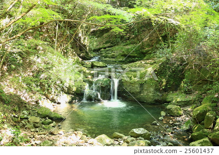Inuyama Inuyama 25601437