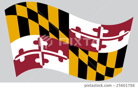 Flag of Maryland waving on gray background 25601788