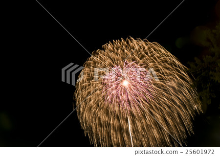 Fireworks display   25601972