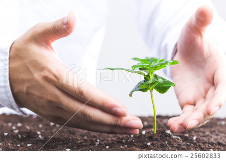 Human hands raising plants 25602833