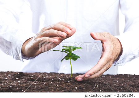 Human hands raising plants Human hands raising plants 25602843