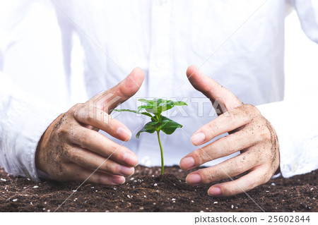 Human hands raising plants Human hands raising plants 25602844