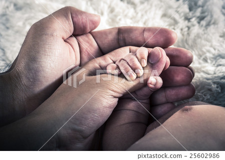 Newborn Family Body Part 25602986