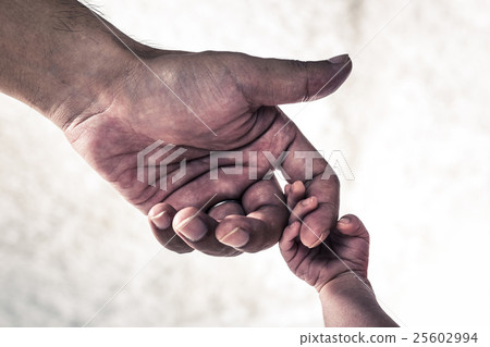 Newborn Family Body Part Newborn Family Body Part 25602994