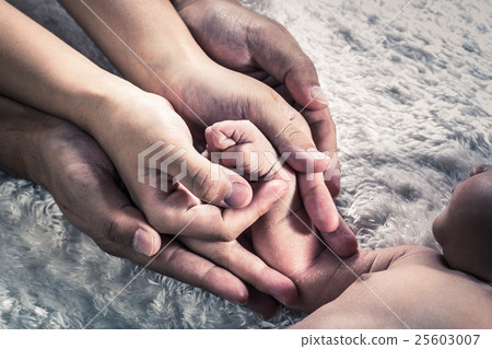 Newborn Family Body Part 25603007