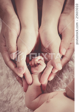 Newborn Family Body Part 25603010