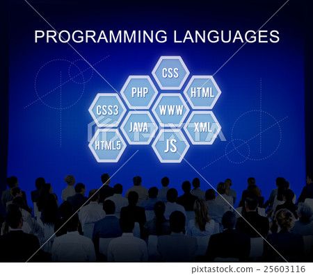 Programming Language Coding Developer Software Concept Programming Language Coding Developer Software Concept 25603116