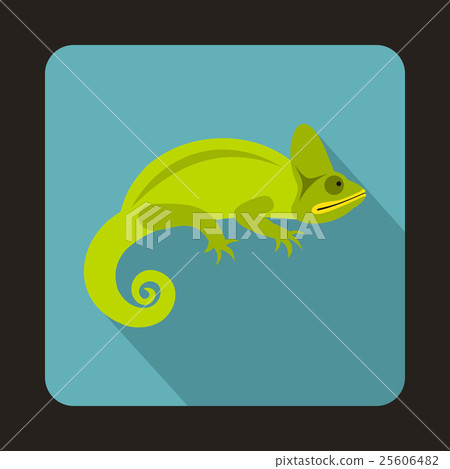 Chameleon icon, flat style Chameleon icon, flat style 25606482