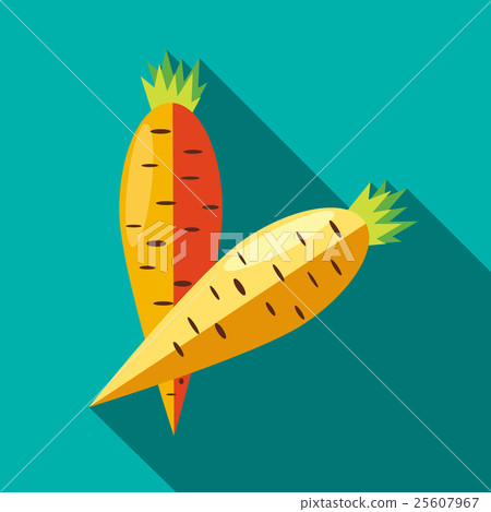 Two carrots icon in flat style 25607967