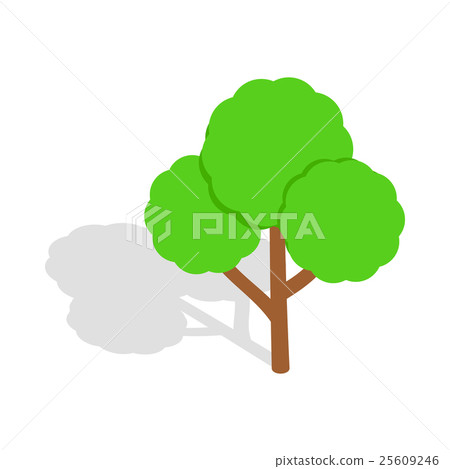Tree icon, isometric 3d style 25609246