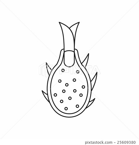 Dragon fruit icon, outline style 25609380