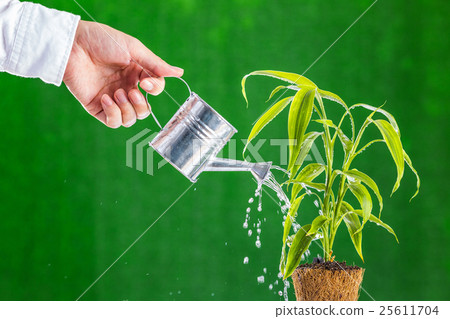 Water and plants 25611704