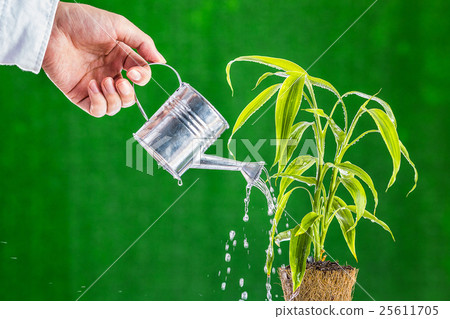 Water and plants 25611705