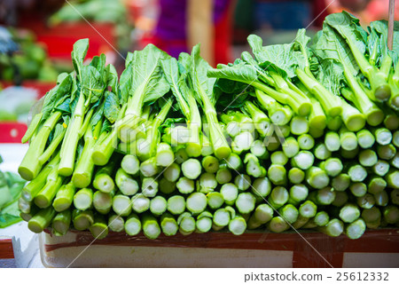 fresh bok choy vegetable (Chinese cabbage) fresh bok choy vegetable (Chinese cabbage) 25612332