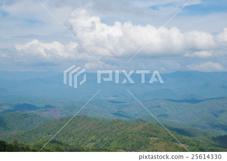 Mountains and forests Mountains and forests 25614330