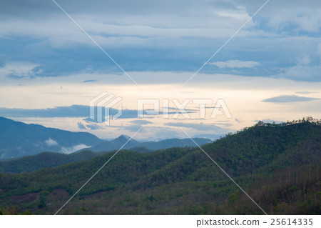 Mountains and forests Mountains and forests 25614335