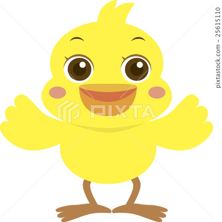 Chick illustration Chick illustration 25615110