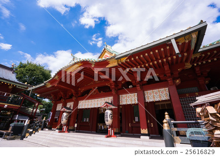 東京神田肌球蛋白 25616829