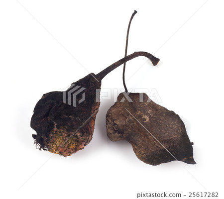 Dried pears on a white background 25617282