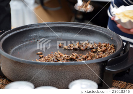 true crickets proteins food frying on the pan  25618246