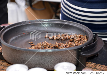 few true crickets proteins food frying on the pan 25618247