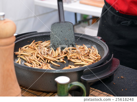 zophobas morio worms larvae food frying on the pan zophobas morio worms larvae food frying on the pan 25618248