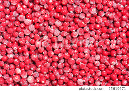 Frozen cranberry 25619671