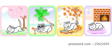 One year in cats 25622045