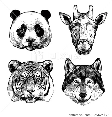 Hand Drawn Animals Portraits Hand Drawn Animals Portraits 25625178