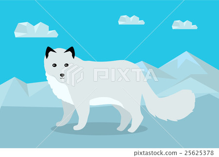 Polar Fox Vector Illustration in Flat Design 25625378