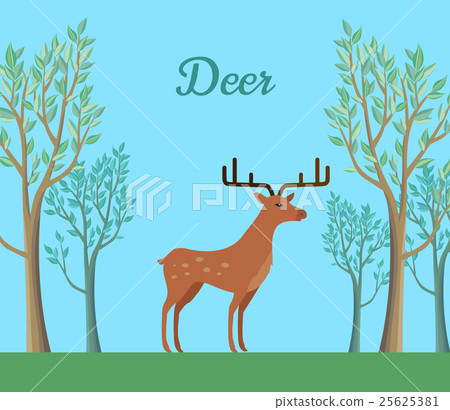 Red Deer in the Forest. Ruminant Mammal 25625381