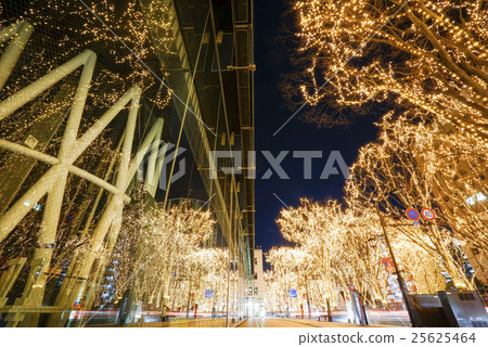 Winter Feast of Sendai in Dui SENDAI Pageant of Light Light Corridor of Light Light Illumination Reflected on LED Glass 25625464