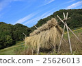 Straw making 25626013