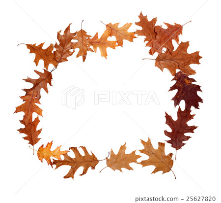 Frame of autumn dried oak leaves with copy space Frame of autumn dried oak leaves with copy space 25627820