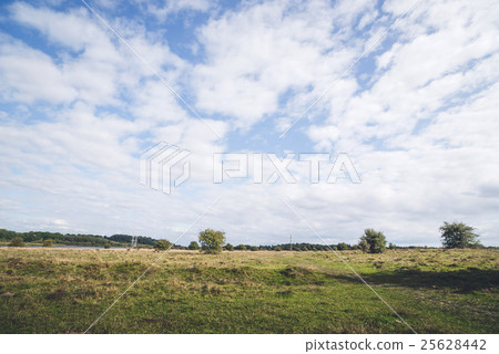 Prairie landscape with small trees Prairie landscape with small trees 25628442
