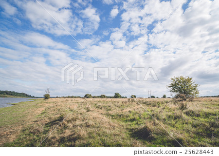 Plains with tall grass and blue sky Plains with tall grass and blue sky 25628443