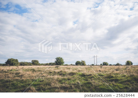 Prairie scenery with bush and trees Prairie scenery with bush and trees 25628444
